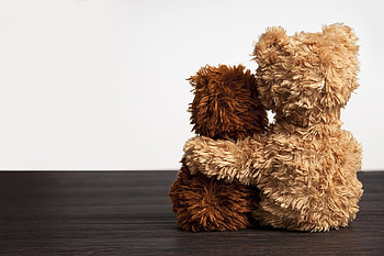 BEAR HUG, BEARS, TEDDY, CUTE, TWO HD wallpaper