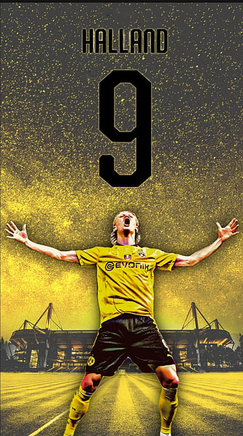 Halland, world, sports HD phone wallpaper
