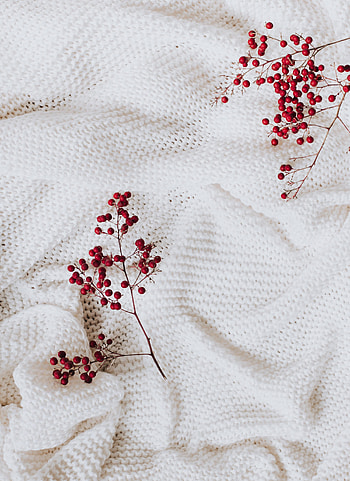 Miscellanea, Miscellaneous, Branches, Cloth, Berry HD phone wallpaper