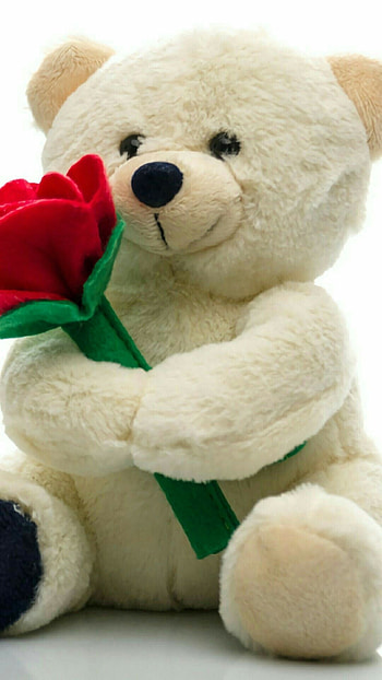 Beautiful Teddy Bear, Cute, Toy HD phone wallpaper