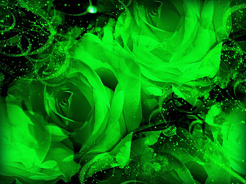 ~ღ.Green Fairy Roses.ღ~ , unusual, roses, love, green, fairy roses, nature, flowers, romantic HD wallpaper