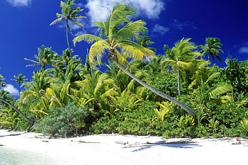 TROPICAL WATER , beautifull, beach HD wallpaper