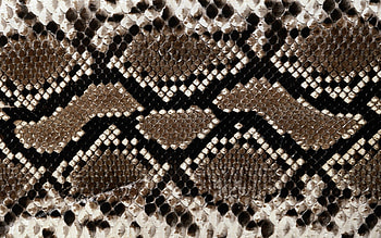 Background, Texture, Lines, Textures, Snake HD wallpaper