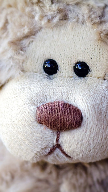 Teddy Bear Ka, Teddy Bear, Toys HD phone wallpaper
