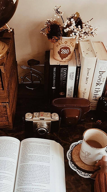 Brown Aesthetic, Book, Things HD phone wallpaper