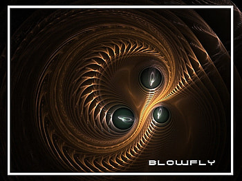 BLOWFLY, paint, world, style, fractal HD wallpaper