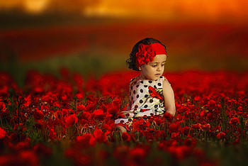 Little girl, childhood, blonde, fair, sit, nice, flower, adorable, bonny, sunset, sweet, Belle, white, Hair, girl, comely, sightly, pretty, face, nature, lovely, pure, child, graphy, cute, baby, , Nexus, beauty, kid, Fields, roses, beautiful, people, little, pink, sky, princess, dainty HD wallpaper