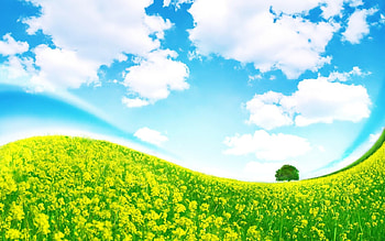 nature, fantasy HD wallpaper