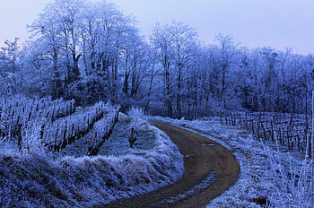 Winter, beautiful, nature, amazing HD wallpaper