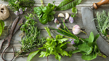 Basil and oregano, Herb varieties, Edeka supermarket, Culinary exploration HD wallpaper