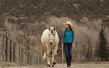 Afternoon Walk, horse, cowgirl, brunette, fence, trees, hat, mountain HD wallpaper