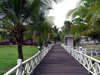 nipa beach resort, nature, beach HD wallpaper