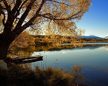 golden autumn, nature, seasons, beauty HD wallpaper