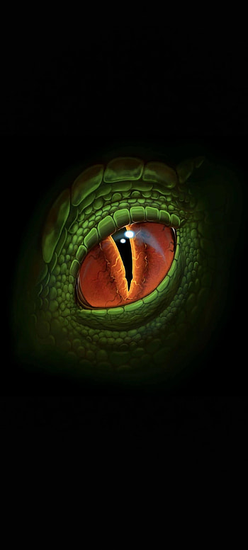 Dragon Eye, head, face, green, scales, black HD phone wallpaper