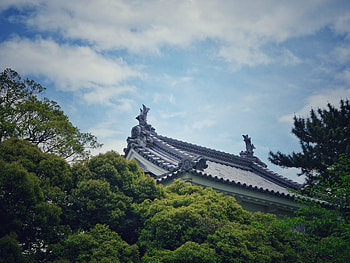 Nature, Trees, Sky, Clouds, Roof HD wallpaper