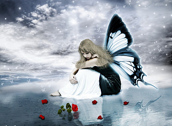 Red Roses, fairy, rose, wings, red HD wallpaper