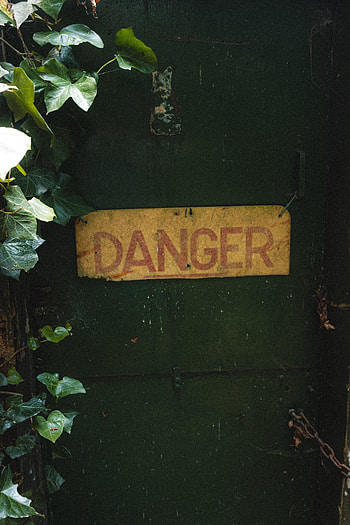 Plant, Words, Inscription, Danger HD phone wallpaper