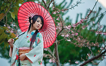 Kimono , Visual delight, Intricate designs, Japanese charm HD wallpaper