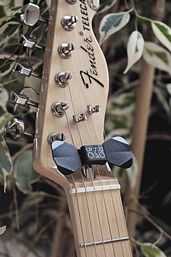 Music, Guitar, Tuners, Splitting, Musical Instrument, Vulture, Mediator HD phone wallpaper
