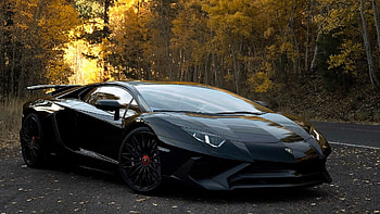 Lamborghini , Visual masterpiece, Automotive elegance, Stunning graphics HD wallpaper