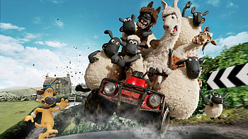 Crazy, animal, dog, car, sheep, funny HD wallpaper