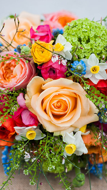 Beautiful Flowers, Flowers Booke HD phone wallpaper