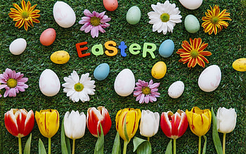 Spring and Easter, Easter, Holiday, flowers, grass, tulips, Spring, eggs HD wallpaper