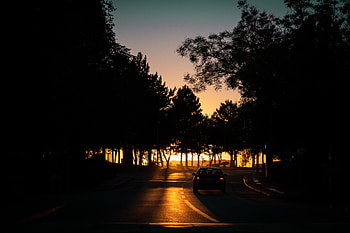 Trees, Night, Dark, Road, Car, Shadows HD wallpaper