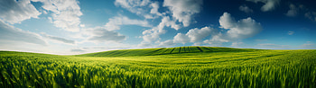 Windows Xp , windows, windows-xp, computer HD wallpaper