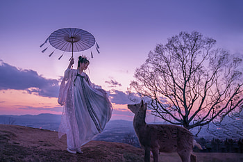 Japanese woman, Woman, Parasol, Umbrella, Deer HD wallpaper