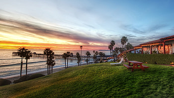 Nature, Sea, Palms, Shore, Bank, Evening, Table, Slope, Benches, Picnic HD wallpaper