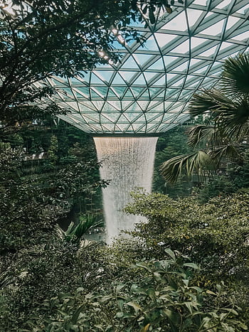 Discover the breathtaking indoor waterfall amidst lush greenery at Singapore's Jewel Changi Airport. HD phone wallpaper