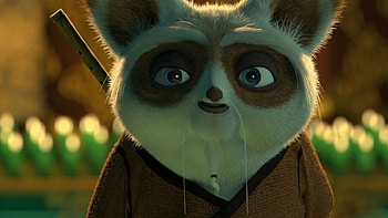 Master Shifu, Kung Fu Panda, Training sessions, Mentorship HD wallpaper