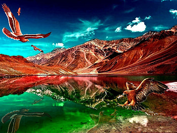 EAGLE, color, blackout0005, 2012, indian, lake, green, space, nature, mountains HD wallpaper