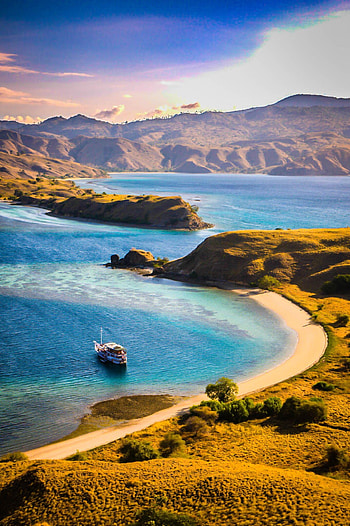 Komodo Island, Ideas, Komodo dragon, Adventure HD phone wallpaper
