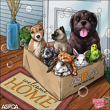 Adoption box, Aspca, mammal, dog_breed HD phone wallpaper