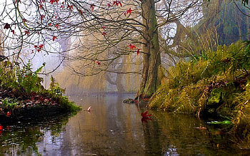 bajkowo-baśniowo..:), w, o, d, z HD wallpaper