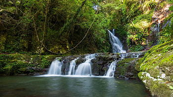 Elebana Falls, QLD Australia, trees, cascades, river, rocks HD wallpaper