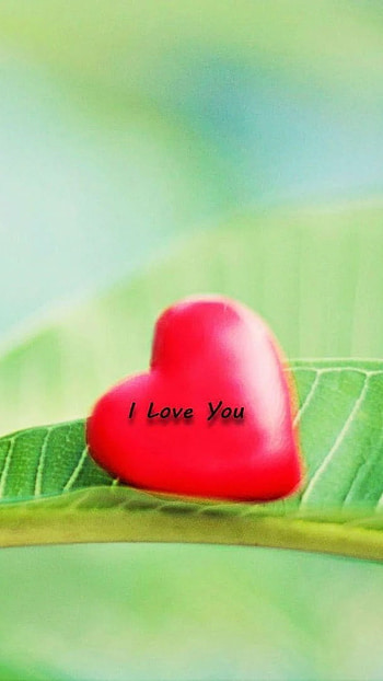 Best Love, Love Heart, Green Leaf, Background HD phone wallpaper