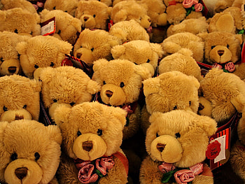 Roses, Bears, Miscellanea, Miscellaneous, Toy HD wallpaper