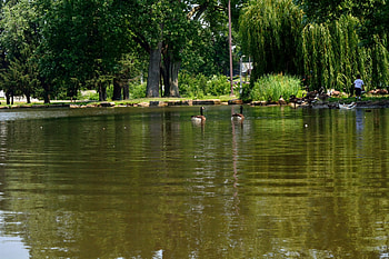 A Day At The Lake, relaxing lake, peaceful lake, tranquil lake, scenic lake HD wallpaper