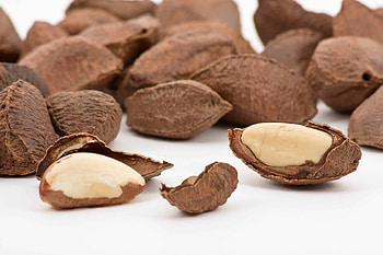 Organic Brazil nuts in shell, Unshelled nut bliss, Unrefined goodness, Nature's packaging HD wallpaper