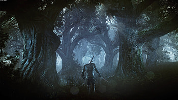 Video Game - The Witcher 3: Wild Hunt HD wallpaper