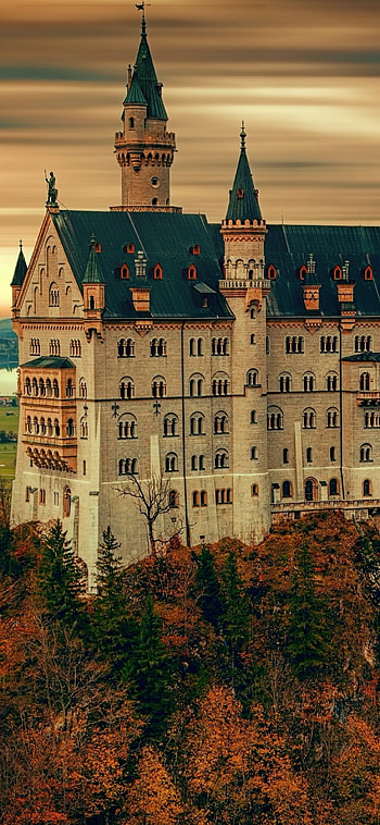 Neuschwanstein Castle, Man-made, Travels HD phone wallpaper