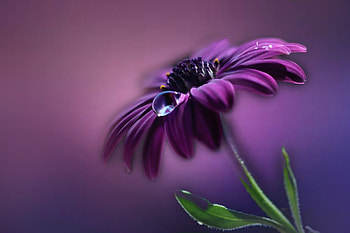 ღ❤ღ, beautiful, nature, lovely, water HD wallpaper