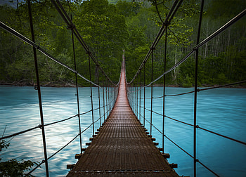 Forest River Bridge, bridge, river, forest, graphy HD wallpaper