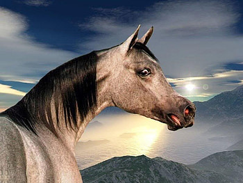 The Gray Sky, gray horses, sky, mountains, arabians HD wallpaper