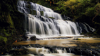 Purakaunui Falls, New Zealand, trees, river, cascades, rocks HD wallpaper