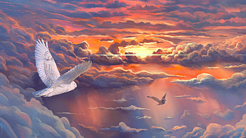Soaring Through Sunset Dreams, birds, artist, artwork, digital-art, artstation HD wallpaper