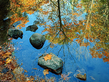 Nature, Water, Stones, Autumn HD wallpaper